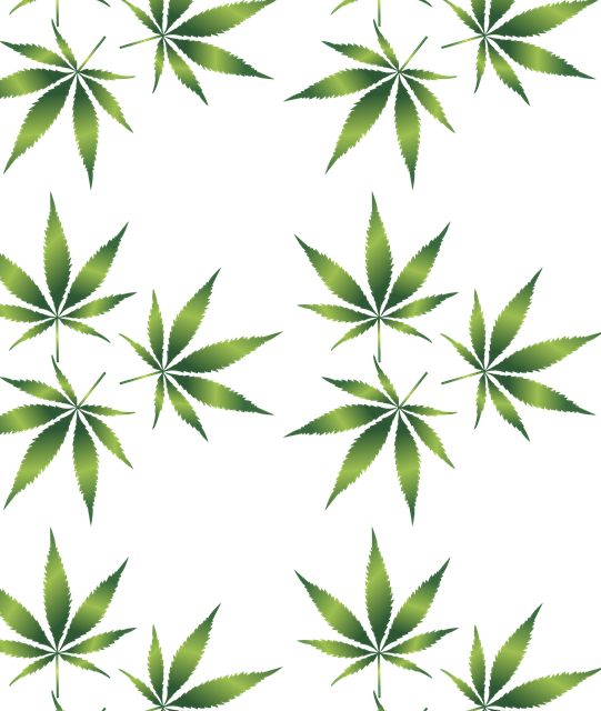 Mýtus 2: Marihuana je bezpečná a nezpůsobuje žádné zdravotní problémy