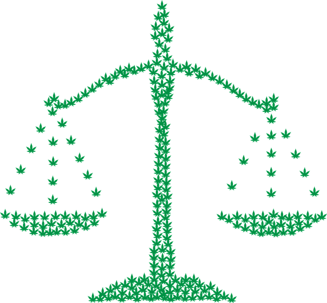 Zvažování pro a proti legalizace marihuany s ohledem na závislost