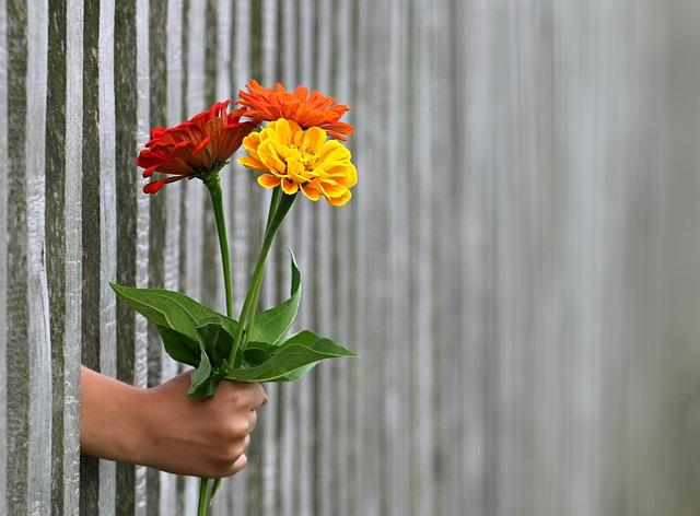 Nabídka podpůrných skupin a individuálních konzultací pro nastávající matky