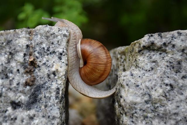 Budete překvapeni, jak vám poradna pomůže uvolnit se ⁤od stresu!